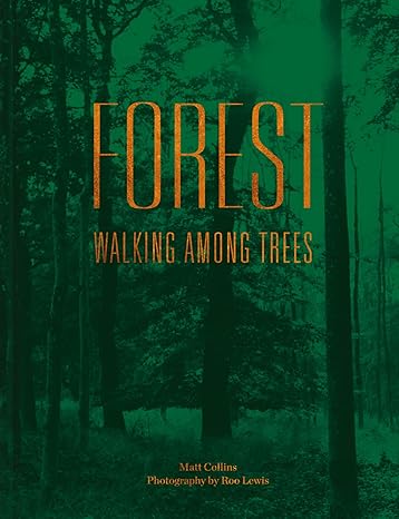 Forest: Walking among trees