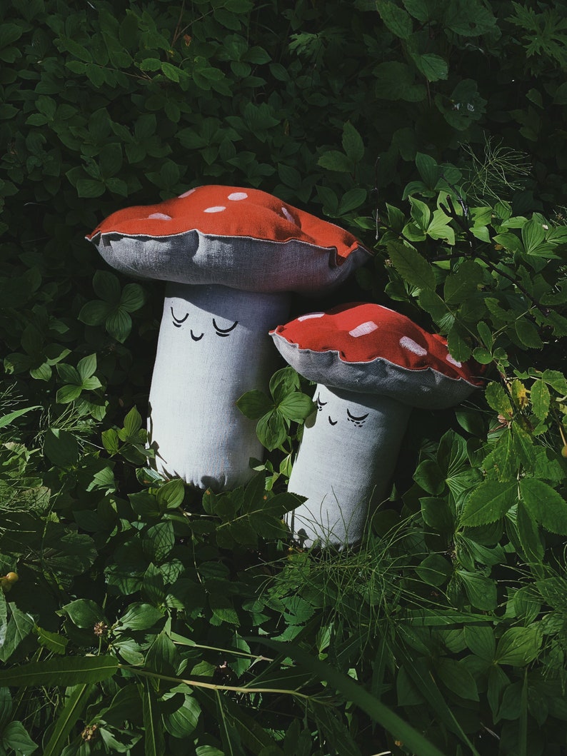 Mushroom Gap Collection